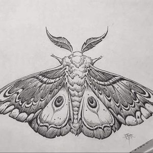 Meet your Posher, Virginia